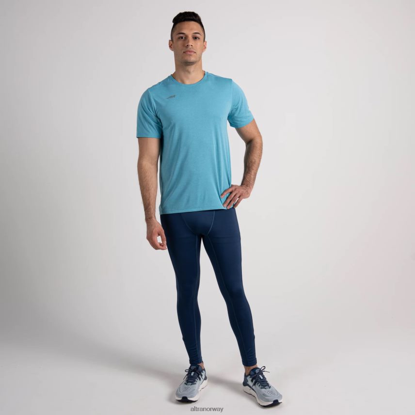 delphinium blå lyng