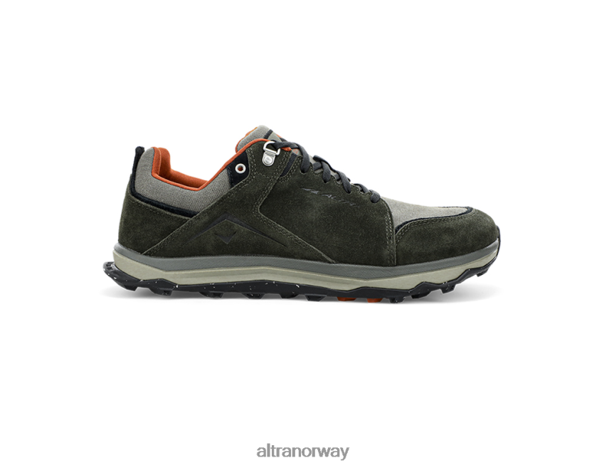 altra norge lone peak alpin mann skog natt menn BD82B2386
